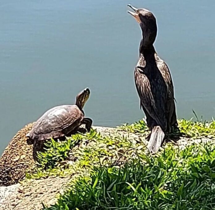 WhatsApp Image 2022-04-04 at 17.30.51