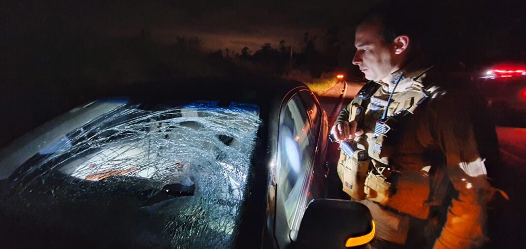 cfc0b458-7881-439f-ab23-6b0c67f98dd0