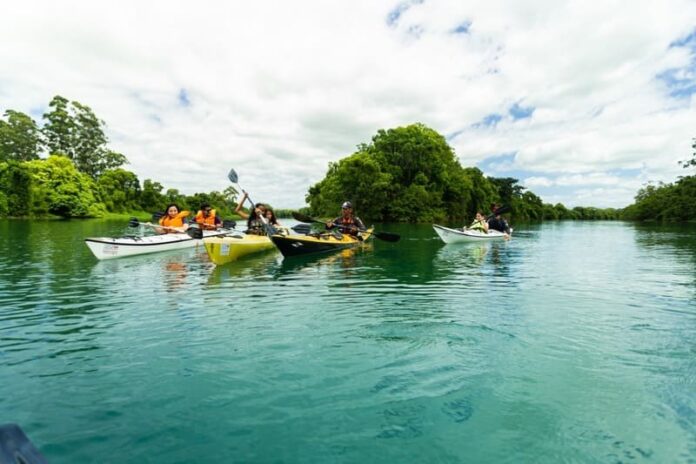 725e2c22-d6ec-437e-a6d8-8e4595bf6681 (1)