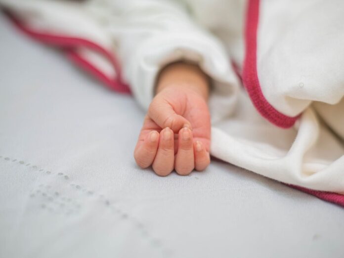 pexels-ajidox-12078620