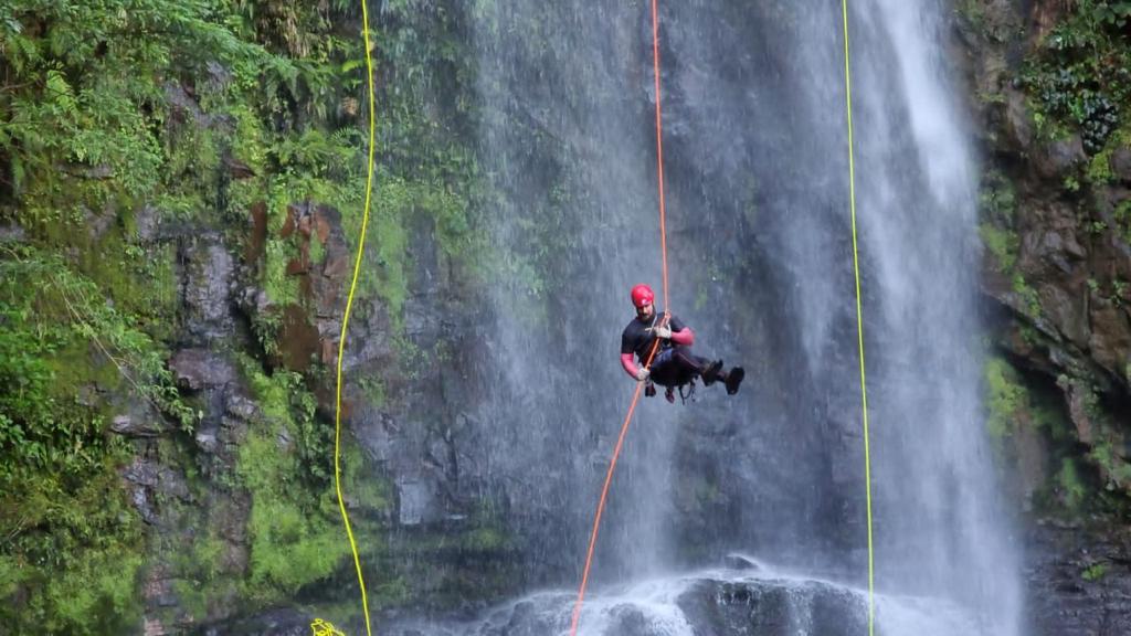 6d5e3d68-7e3f-4db6-ac22-a82e4b304fde