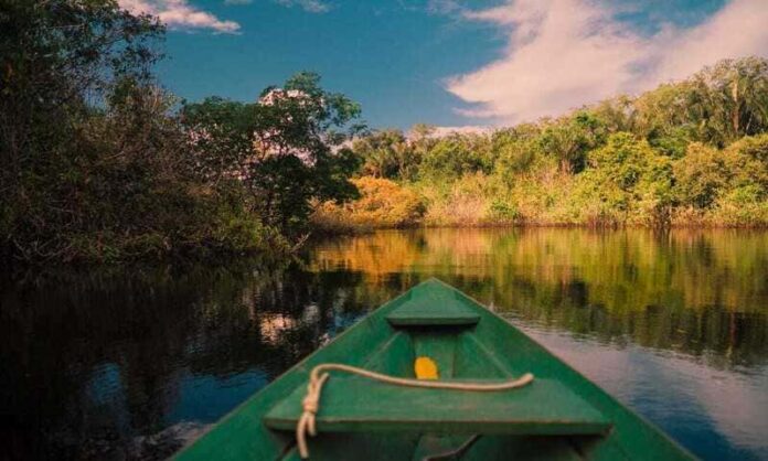 viagem-amazonia-floresta-amazonica-012 (1) (1)