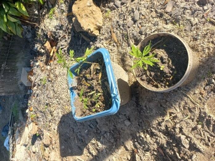 1ff65191-d602-4341-b42c-cbae585d89e0