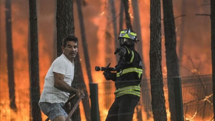 3893424714757e9ee550_base (1)