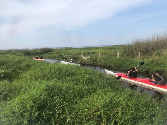 99da0ffb-58b3-4df0-9890-b742db584f75 (1)