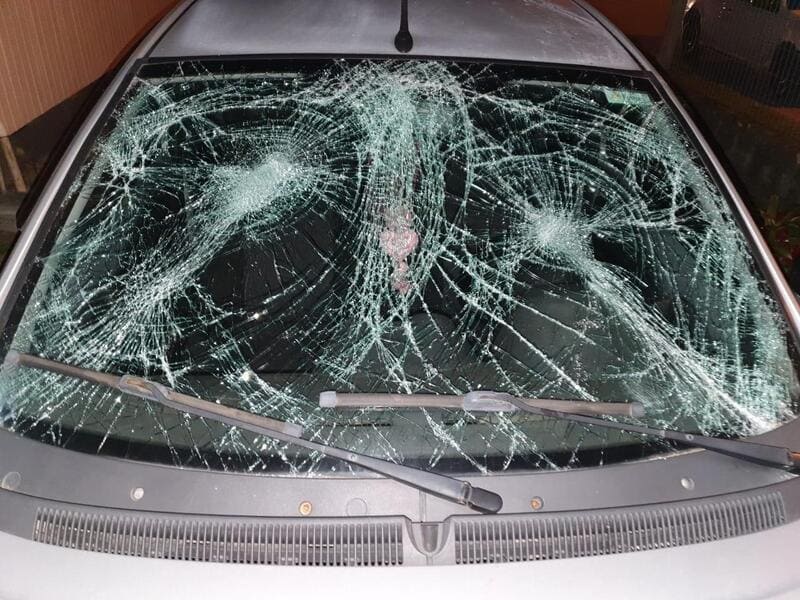 ee13d094-b662-4ce3-8d66-9008bf8007ce (1)