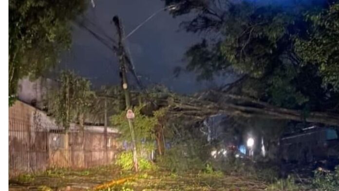 166061453462faf786bd56f