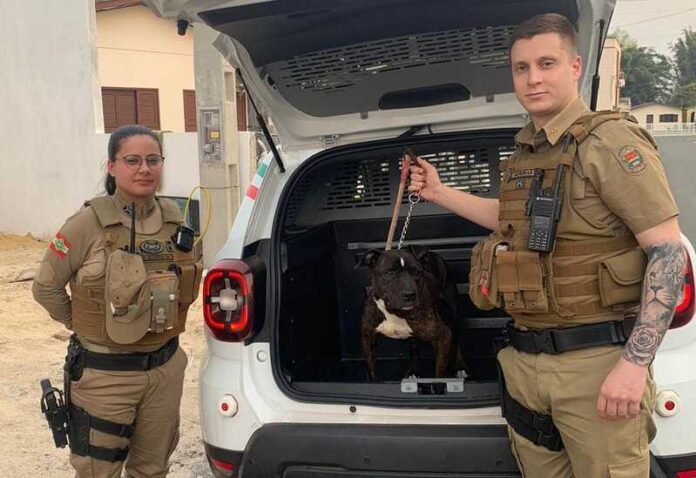 313389fe-4bdd-4450-b8e4-2457f5495cc5