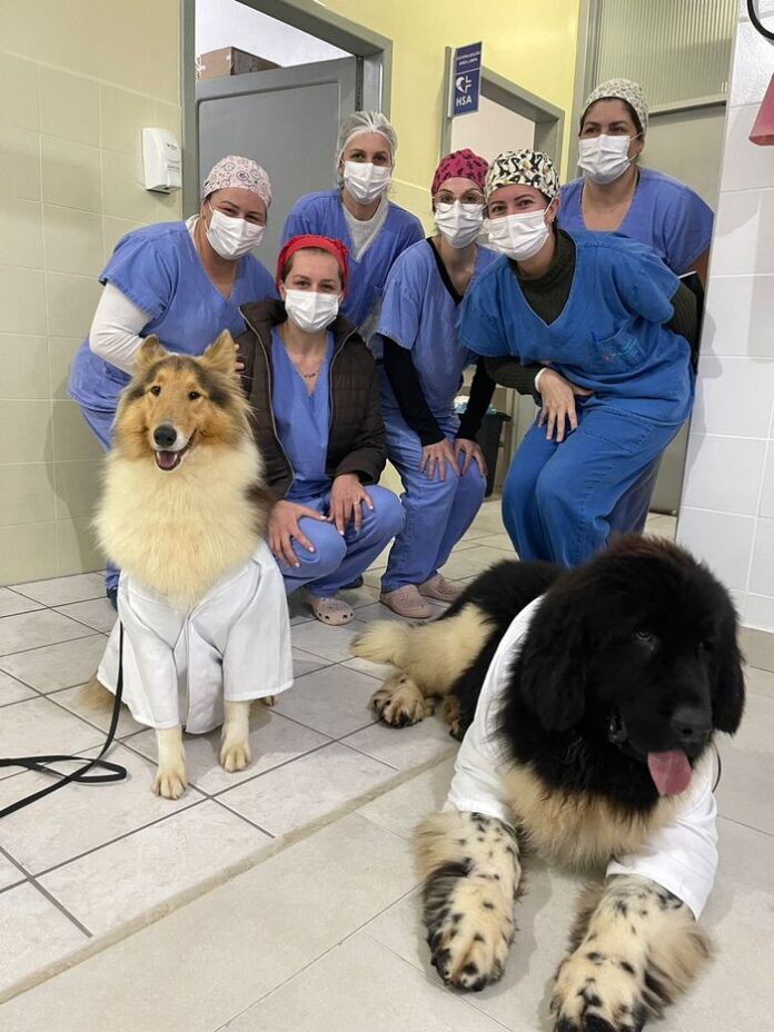 9f2c5933-aa53-4756-9ea5-87f687e6b0c7