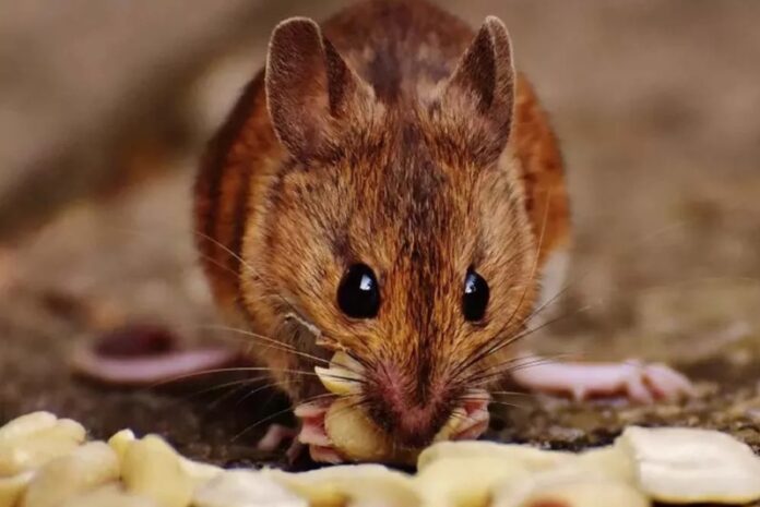 WhatsApp-Image-2022-09-21-at-09.56.37-e1663768492871