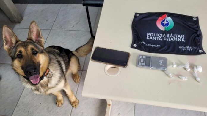 a7720530-c75a-461b-b122-89dfaa9a9403