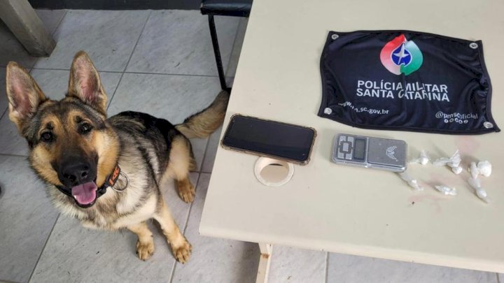 a7720530-c75a-461b-b122-89dfaa9a9403