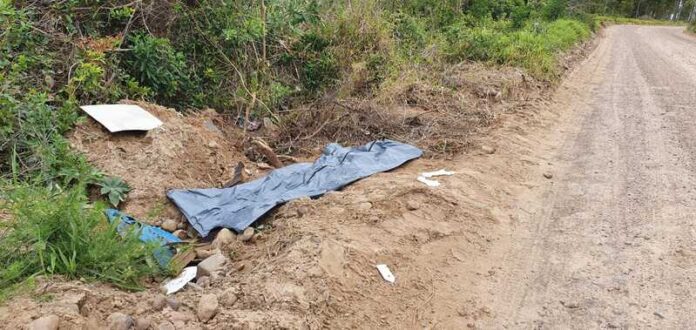 d29a554d-9293-429b-bc0d-f957fc308521