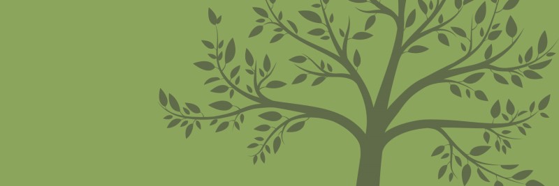 O-menino-do-dedo-verde_Destaque-Site-Equipe-de-design-Espaco-do-conhecimento