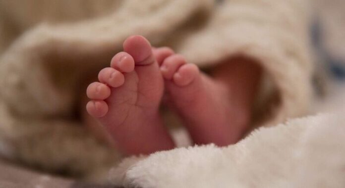 whatsapp-image-2020-10-23-at-180726