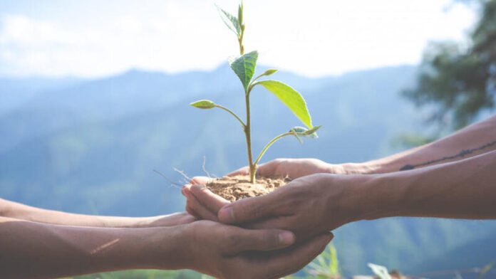 educacao-ambiental-1200x675