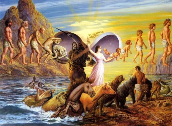 30283978_llllllllllllll