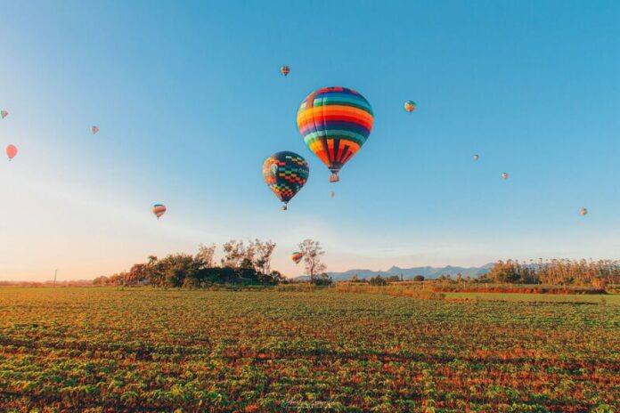 c6899a78-11c9-4c0a-9fec-3b34b92f325f