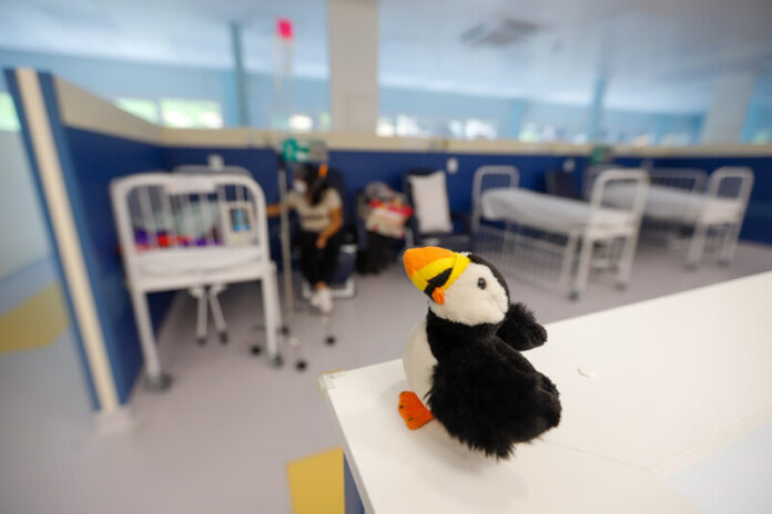 52687740929_fc46b196e9_k (1)