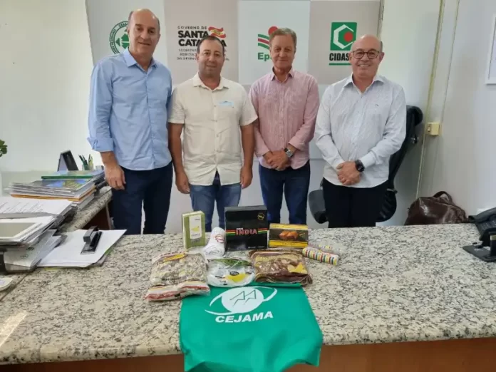 337204d5-40d8-4617-8cb9-4f9c9e0bc05b