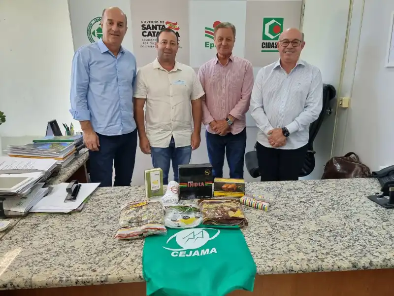 337204d5-40d8-4617-8cb9-4f9c9e0bc05b