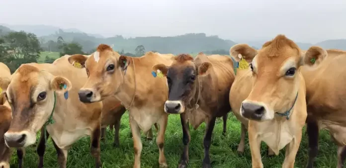 WhatsApp-Image-2023-03-24-at-17.52.04