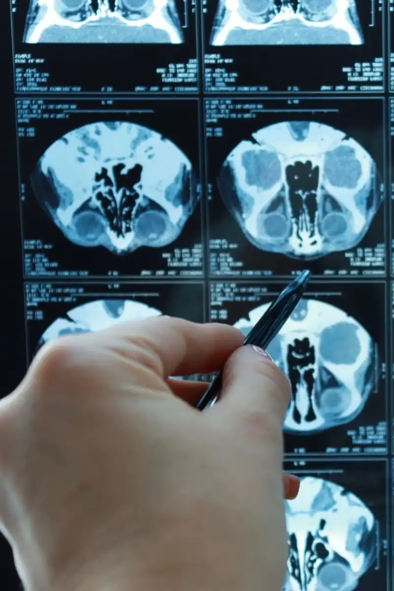 WhatsApp Image 2023-05-24 at 14.47.24