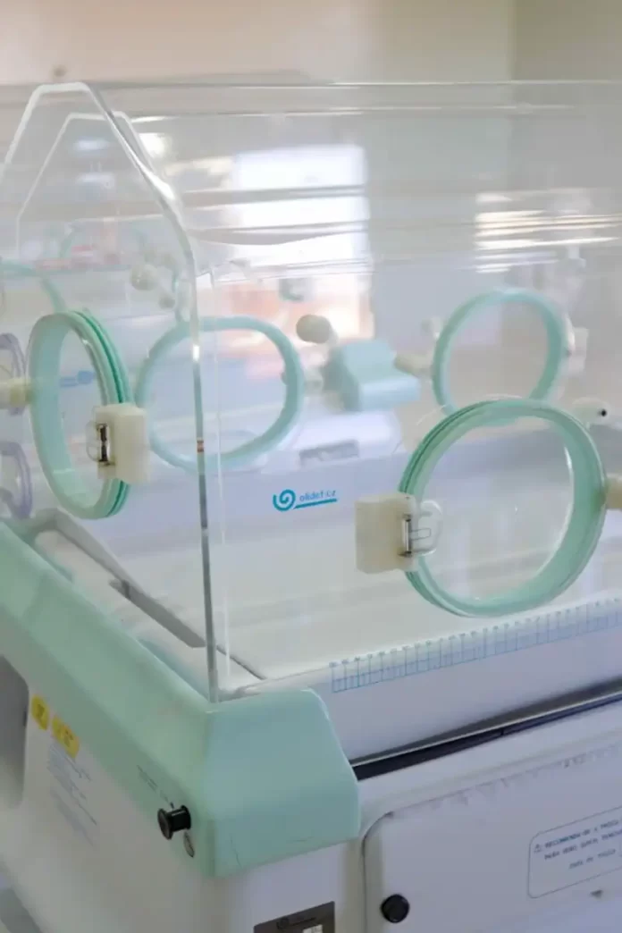 WhatsApp Image 2023-05-25 at 17.21.54 (1)