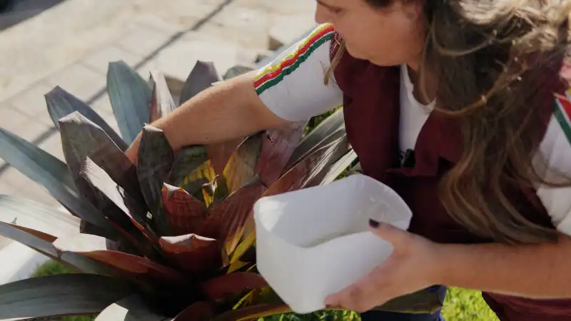 697eb0e6-3313-450b-acee-cf8cef1b3504