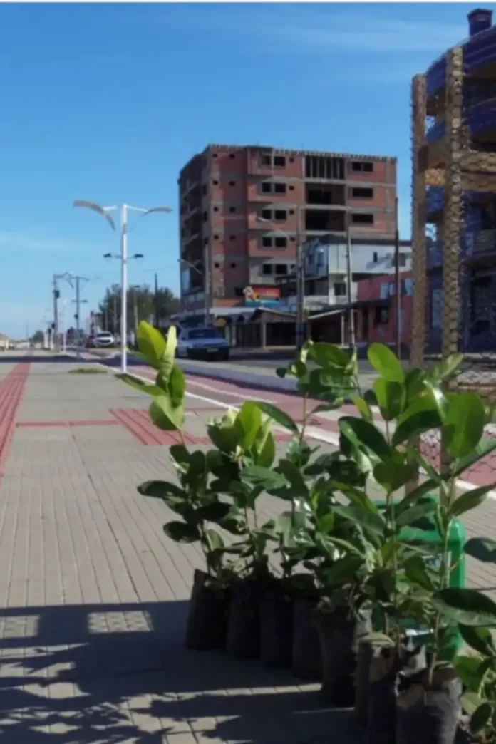 WhatsApp Image 2023-06-01 at 15.57.49