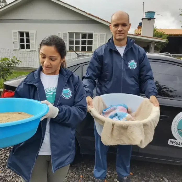 060437be-4552-4dd4-b2f0-bc43d6182db5