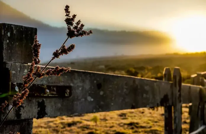 49967622853_59a5789b24_c