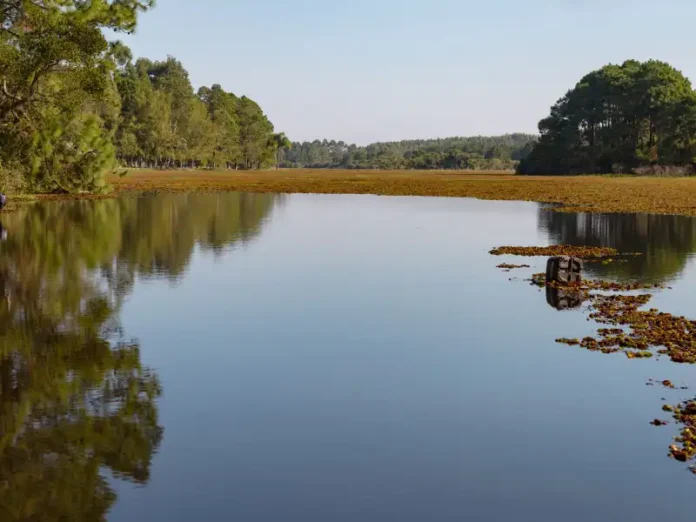 34d24dbd-00af-4413-a26f-bd432f6a7251