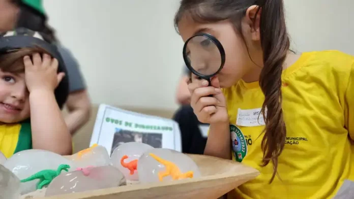 63ec1961-611c-49ad-a428-139c2c677998