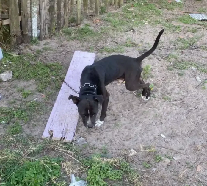 7891f210-1aa1-4647-af01-74c4d5f00c70