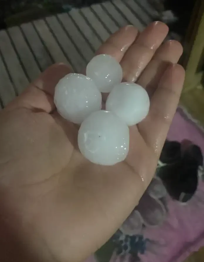 c79cf22e-0a44-4778-9c59-221952ef05f5