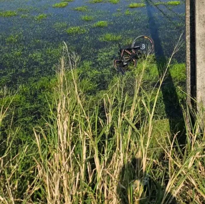 42aa4453-96fe-4e0b-b7cb-c171c9ba5bed