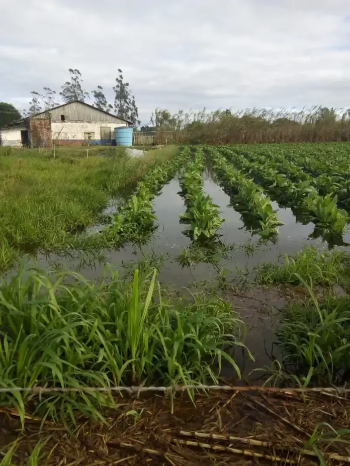 3c4716d1-21c2-4de3-8ccc-915961e56951