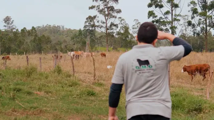 7910bafb-e2dc-4dd4-b543-d9803d652bb4