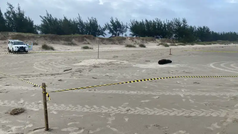 a8b6fa52-e87d-470f-ae3c-fbc475e5a98d