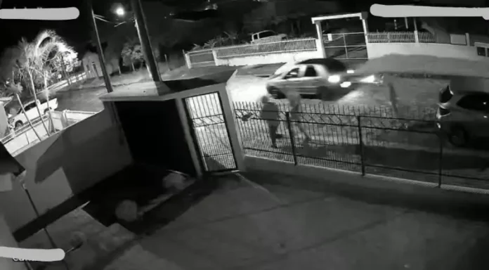 WhatsApp-Image-2023-11-30-at-10.31.04