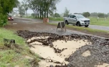 Política | José Mota Alexandre