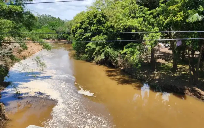 01d191a6-9859-4269-8d53-710cdfef9bb6 (1)