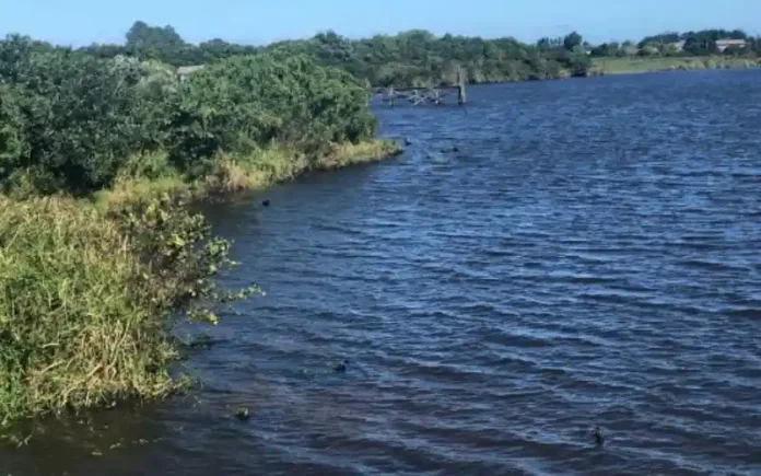 2945c349-cf65-4539-8074-6a00dc28ee67