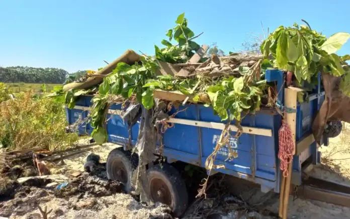 8a00ccec-52ad-4274-bf7b-a168ba9151db