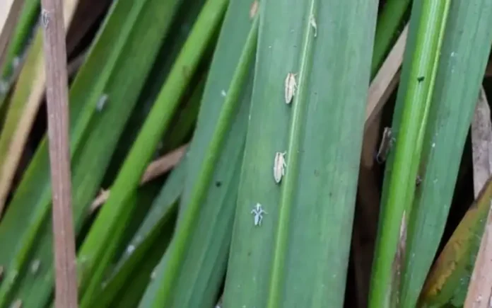 077488d1-5bb9-4f3e-9db6-06526a23a706