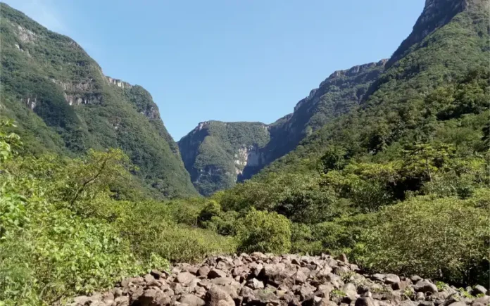 970856e7-1c7a-4ca9-aa1d-07b5f7006975 (2)