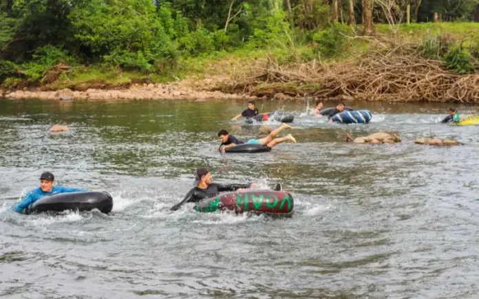 cac51782-84a2-4f63-9bd8-48cf5e4e2518 (1)