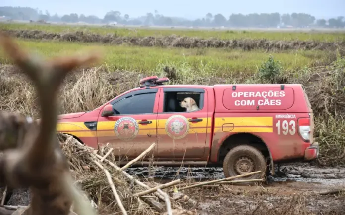 a5a7c31f-0a2d-415b-9b9e-d688f030ef59 (1)