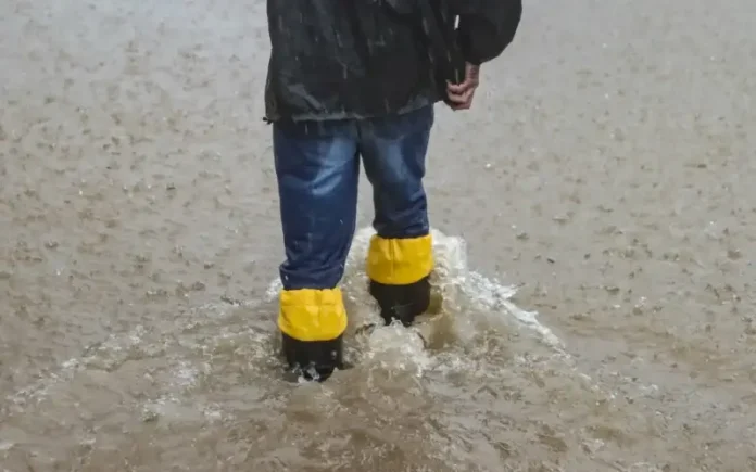 imagem_do_whatsapp_de_2024-05-23_as_15.23.44_4c714f05